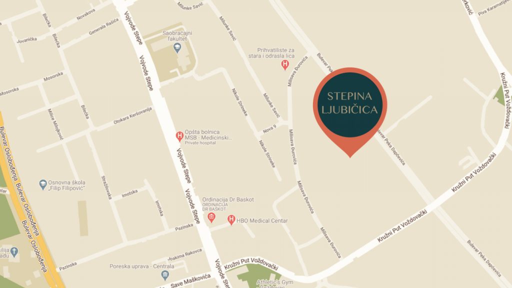stepina ljubicica mapa