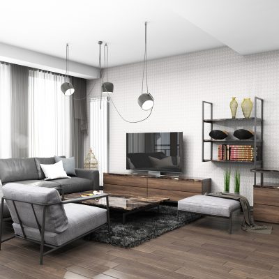 vladetina novogradnja